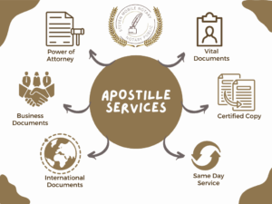 Professional Apostille & Document Translation Services near`