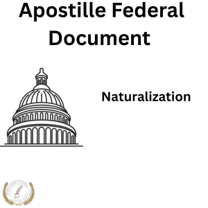 Naturalization,Naturalization Apostille – Federal Authentication,"Get your naturalization apostilled through our federal authentication service in Washington, D.C. Fast and reliable processing.",Naturalization,$99 per document,3–4 weeks,PDF or Hard Copy,Yes for non-Hague countries,"apostille, naturalization, federal apostille service, naturalization-apostille, washington d.c. apostille",Naturalization certificates confirm U.S. citizenship and are used for dual nationality applications or immigration purposes overseas.,To certify citizenship status for foreign governments or consular use.,We help certify naturalization documents for dual citizenship and other legal processes outside the U.S.,"Dual citizens, visa applicants, and international attorneys.",U.S. Citizenship and Immigration Services (USCIS).,Yes. Required for apostille processing and foreign legal recognition.,Image of a certified Naturalization used for federal apostille in New York,"Our team provides certified apostille services for your naturalization. We specialize in apostille, federal apostille service. This document is typically requested by Dual citizens, visa applicants, and international attorneys. and is usually issued by U.S. Citizenship and Immigration Services (USCIS).."
