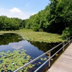 Blue Heron Park